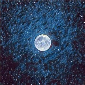 Aletta Ocean, 大战黑鬼
