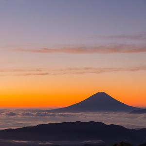 Aletta Ocean, 大战黑鬼
