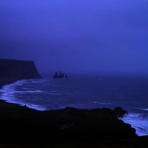 Aletta Ocean, 大战黑鬼
