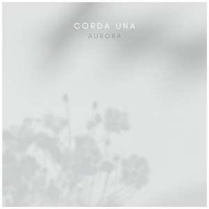 Aletta Ocean, 大战黑鬼
